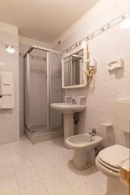 a bathroom with a shower and a toilet and a sink at Hotel il Cardo in San Vito di Cadore