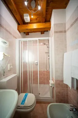 a bathroom with a shower and a toilet and a sink at Hotel il Cardo in San Vito di Cadore