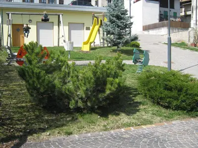 a group of trees in a park with a playground at Agriturismo Pisani in Brez