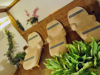 a pair of wooden slippers on a wall next to a plant at Hotel Belvedere wellness in Falcade