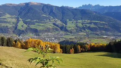 a green hillside with a town and mountains at Masitterhof in Bressanone