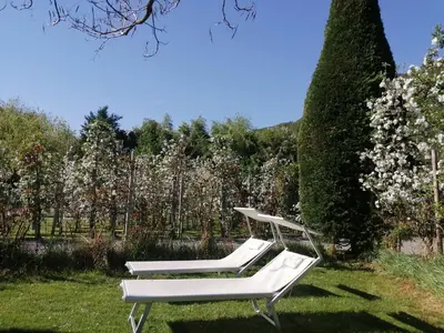 two white chairs sitting in the grass in a garden at Residence Roland in Caldaro