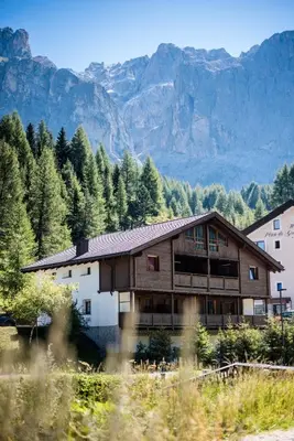 a wooden house with mountains in the background at Chalet Albric in Selva di Val Gardena