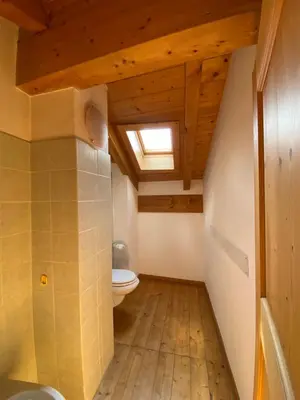 a bathroom with a toilet and a skylight at Casa Fiemme Panchià in Panchia