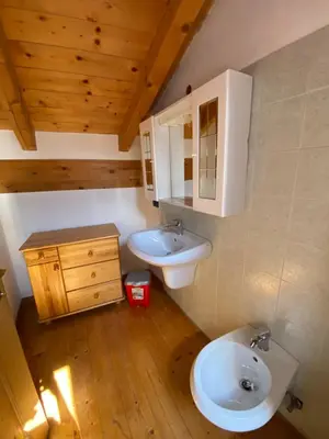 a bathroom with a sink and a toilet at Casa Fiemme Panchià in Panchia