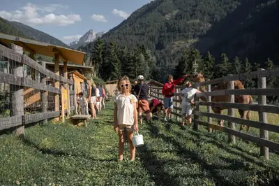 a group of people walking along a fence with cows at Hotel Bergschlössl in Luson