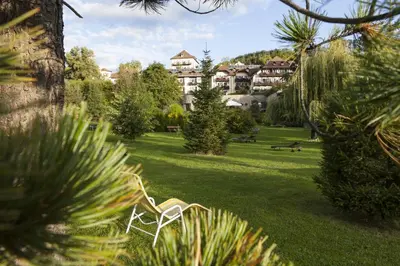 a lawn with a chair in the middle of a park at Hotel Bemelmans-Post in Collalbo