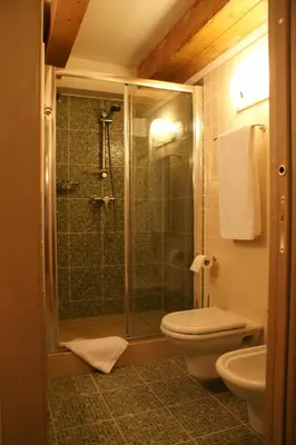 a bathroom with a glass shower and a toilet at Hotel Resort Al Sole in Canazei