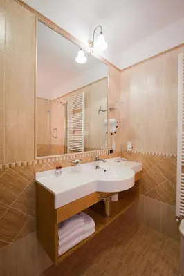 a bathroom with a sink and a large mirror at Hotel Rosa Resort in Cavareno