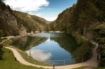 a lake in the middle of a mountain with trees at Hotel Rosa Resort in Cavareno