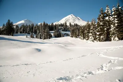 a snowy field with trees and mountains in the background at Hotel Rosa Resort in Cavareno