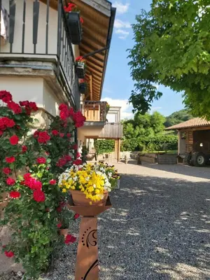 a flower garden in front of a building with flowers at Versigglhof in Appiano sulla Strada del Vino