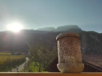 a vase on a ledge with a view of a mountain at Versigglhof in Appiano sulla Strada del Vino
