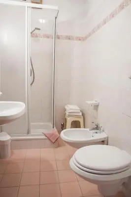 a bathroom with a shower and a toilet and a sink at Garnì Mariolina in Falcade