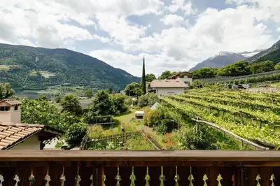 a view from a balcony of a vineyard with mountains at Hofer am Bach in Lagundo