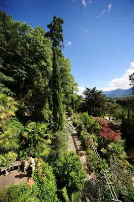 a garden with plants and trees on a hill at Villa Verdi Apartments in Merano