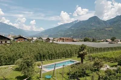 a view of a vineyard and a swimming pool in front of mountains at Vettererhof in Lana
