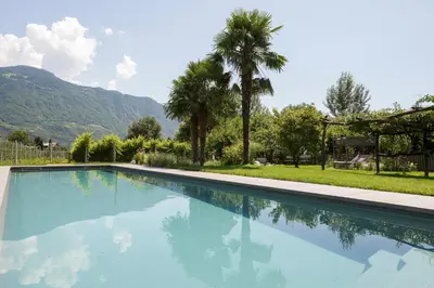 a swimming pool with blue water and palm trees at Vettererhof in Lana