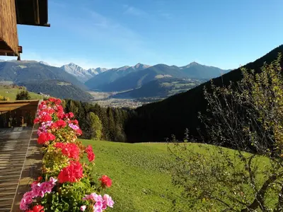 a row of flowers with mountains in the background at Bigraberhof in Valdaora