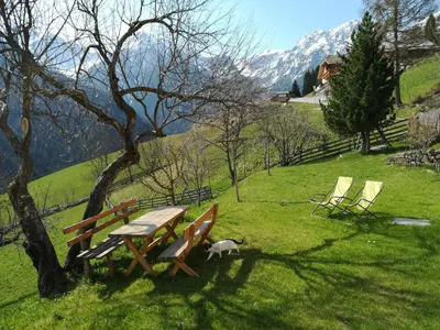 a cat standing next to a picnic table and chairs at Bigraberhof in Valdaora
