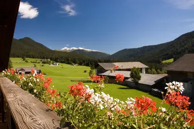 a garden with flowers and mountains in the background at Marenklhof in Tesido