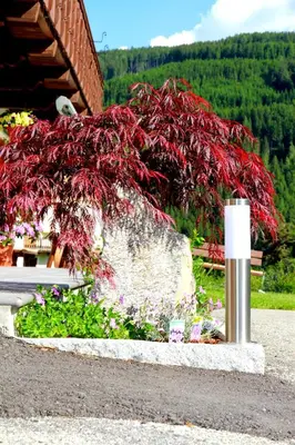 a red tree in a flower bed in front of a building at Marenklhof in Tesido