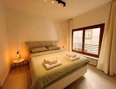 a bedroom with a large bed and a window at Centro Storico di Merano in Merano