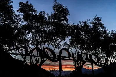 a silhouette of a tree with a sunset in the background at Art & Design Hotel Napura in Bolzano