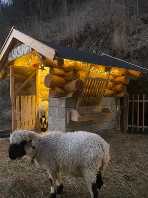a sheep standing in front of a wooden structure at Hotel Larch in Campo di Trens
