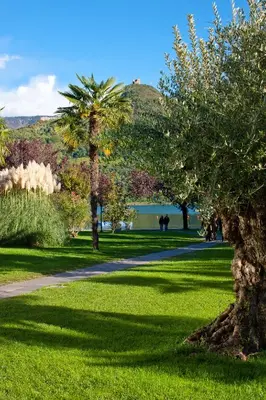 a park with a palm tree and a lake at Seegarten in Caldaro