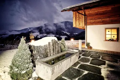 a house with a christmas tree on the side of it at Chalet Oberguggenberg in San Lorenzo di Sebato