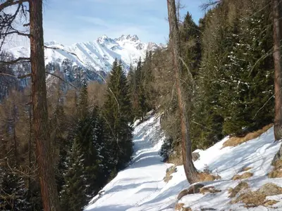 a snow covered trail with a mountain in the background at Tötscherhof in Terento