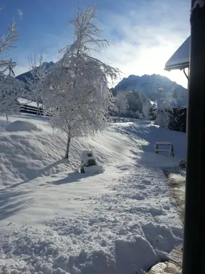 a snow covered road with a tree in the middle at Villa Ortensia in San Vigilio Di Marebbe