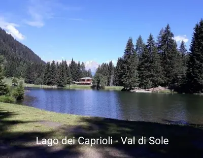 a lake with trees and a house in the background at Casa 