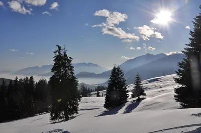 a snow covered slope with trees and the sun in the sky at Casa 