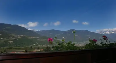 a view of the mountains from a balcony with flowers at Pension Sonnheim in Gargazzone