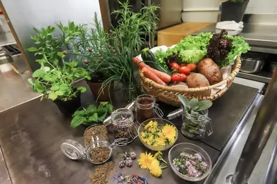 a counter with a basket of vegetables and other plants at Hotel Langeshof in Anterivo