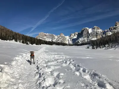 a person standing in the snow in the mountains at Eco-Baita Natura Spensierata in Canale San Bovo