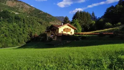 a house on a hill in a green field at Eco-Baita Natura Spensierata in Canale San Bovo