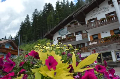 a bunch of flowers in front of a building at Cèsa Soracrepa in Canazei