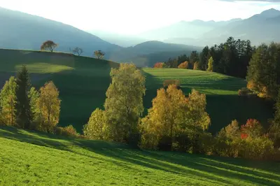 a green field with trees and mountains in the background at KRONPLATZ CHALET WALCHHORN - Brunico, Dolomites in Brunico
