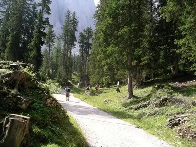 a group of people walking down a dirt road at Bacherhof in Val di Vizze