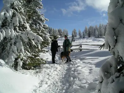 two people walking in the snow with a dog at Bacherhof in Val di Vizze