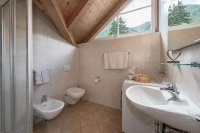 a bathroom with a sink and a toilet and a window at Appartements Bäckhof in Villa Ottone