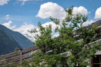 a wooden fence with a view of a mountain at Appartements Bäckhof in Villa Ottone