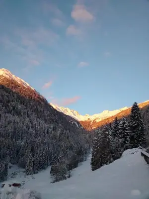a view of a snow covered mountain with trees at Agriroom in Rumo