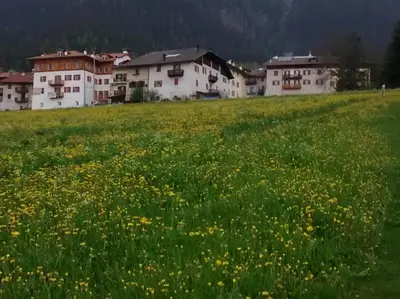 a field of yellow flowers in a field with houses at Agriroom in Rumo