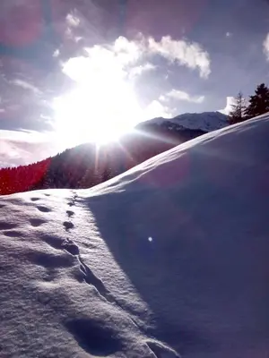 a snow covered slope with the sun in the background at Agriroom in Rumo