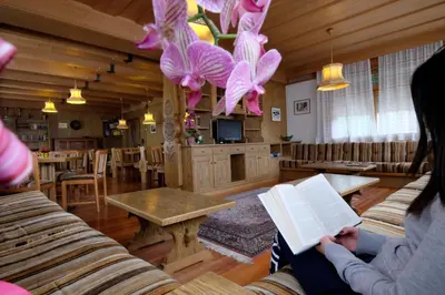 a woman reading a book in a living room at Albergo Antico in Predazzo