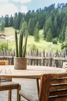 a wooden table with a potted plant on a deck at Appartamenti Residence Ada in San Cassiano